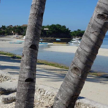 The Shark'S Tail Dive Center Hotel Daanbantayan Exterior photo
