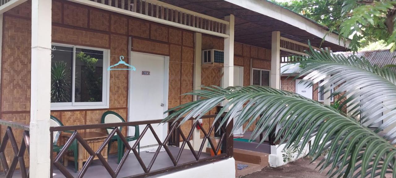 The Shark'S Tail Dive Center Hotel Daanbantayan Exterior photo